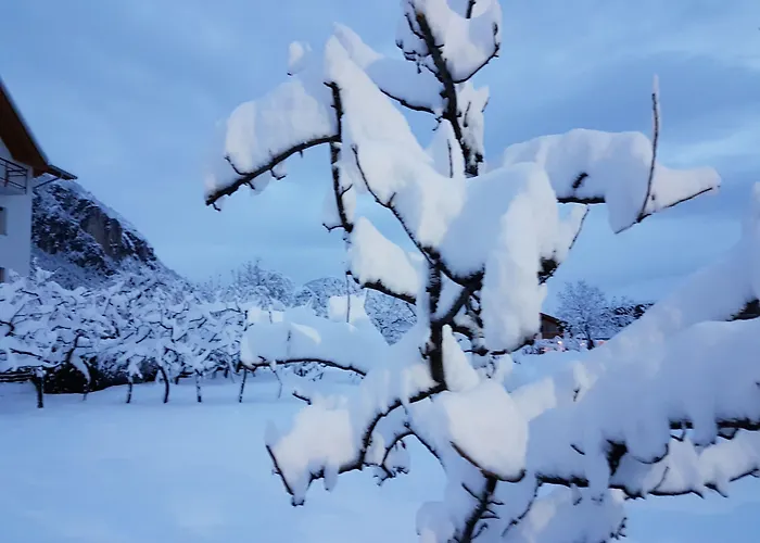 Agriturismo Florandonole
